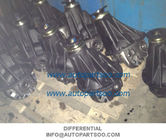 NUCLEO DEL TOYOTA RELACION 41/10 , Supply Differential Assy for TOYOTA 10:41 Diff Assy